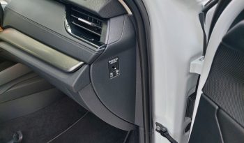 Skoda Octavia 2023  NEW TDI 2.0 DSG AMBITION AUTO CAMERA ECO S/S EURO-6 ΕΛΛΗΝΙΚΟ γεμάτο