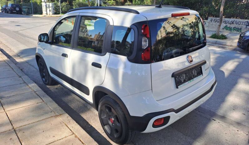 Fiat Panda 2020  CROSS HYBRID 1.0 EASY BSG HYFLY 5D CITY ECO S/S EURO-6 ΕΛΛΗΝΙΚΟ γεμάτο